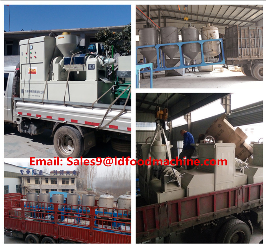 Hot sale soybean extruder machines