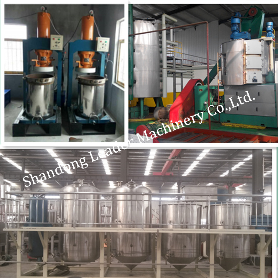 China supply vegetable oil refining/Rapeseed oil production line low price