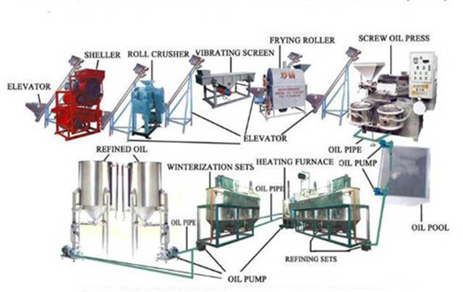 Advanced technology Tea seed oil solvent extraction machinery/tea seed oil production plant