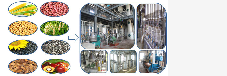 Palm Oil Refining and Fractionation Machine for Palm olein and Palm Stearin