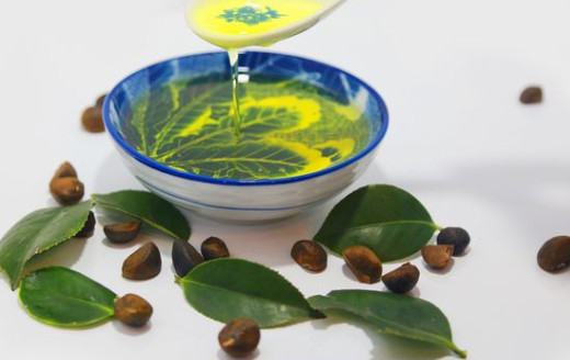 Healthy edible oil with broad prospects -- camellia seed oil