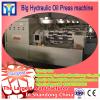 Cast iron machine base Big Hydraulic cold press oil machine for neem oil, soybean oil press machine price