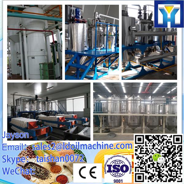 palm oil refinery plant/palm oil refining machine/palm oil processing machine #1 image
