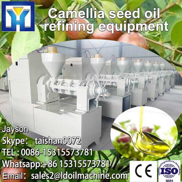 Dinter processing of sunflower oil plant/machine #2 image