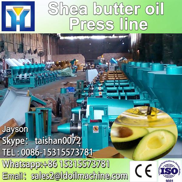 10-30TPD soybean peanut rice bran palm oil refining machine manufacturer #1 image