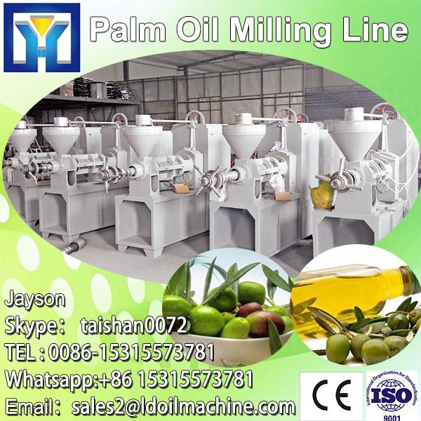 Automatic Flax Seed Oil Machinery 100T #1 image