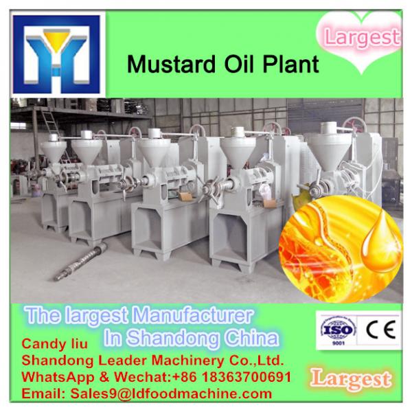 automatic carrot juice extracting machine made in china #1 image