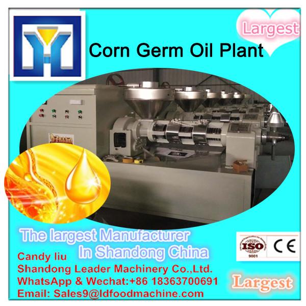 electric rapeseed oil /sesame/ peanut cold press oil expeller machine #1 image