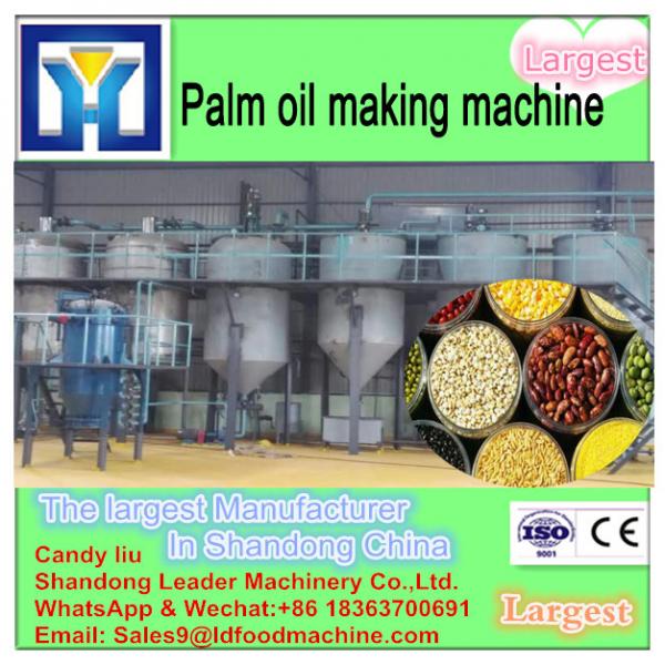 100TPD Crude Palm Kernel Oil Production Line/Palm Kernel Oil Pressing Machine/Palm Kernel Oil Refinery Machine #1 image
