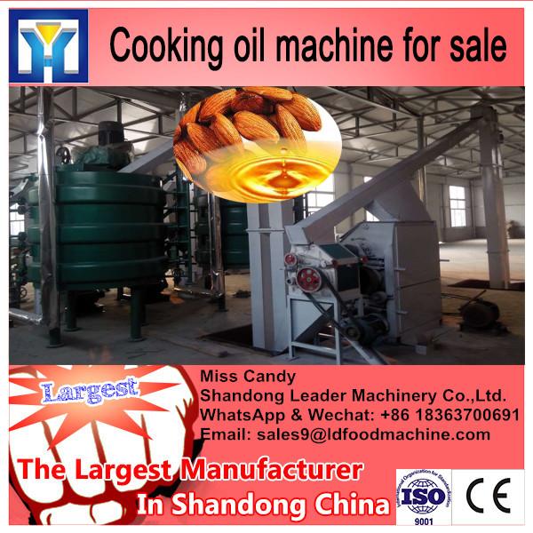 LD Small Portable Electric Oil Machine Cold Press Oil Machine Price #2 image