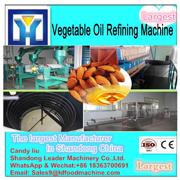 hot sales in Africa! 3T/D Palm crude oil refining machine edible oil refining machine sunflower oil refining machine #1 image