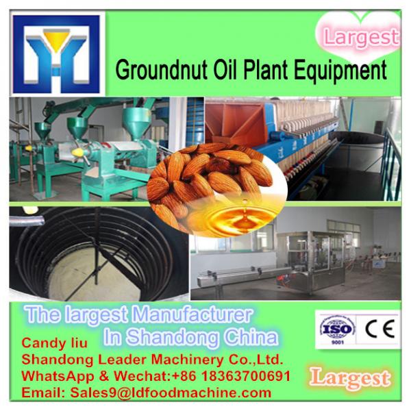 Chinese supplier hydraulic peanut oil press machine #1 image