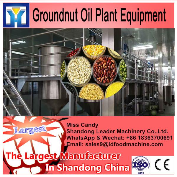 LD&#39;e company for castor seeds oil refining equipment #1 image