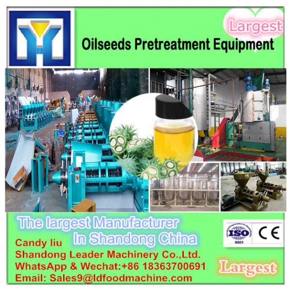 Hot sale peanut oil extractor processing equipment #1 image