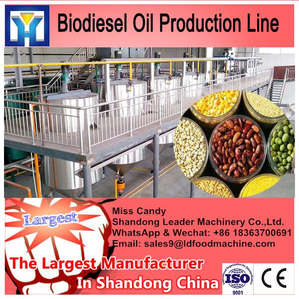 20Ton China top sunflower oil refining equipment #1 image