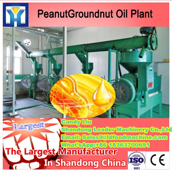 High quality of palm oil extractor with CE,ISO9001 #1 image