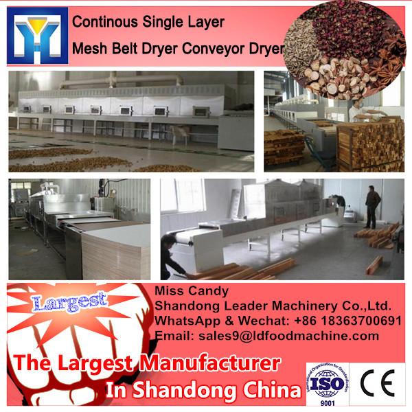 Large Yield Mango Mesh Belt Dryer/Conveyor Dryer #2 image