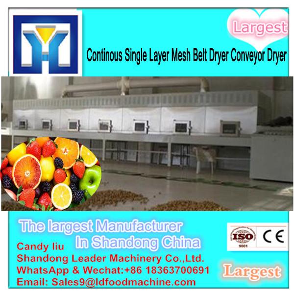 DW Model Continuous Algae Belt Dryer /Algae Conveyor Dryer/Algae Dryer #3 image