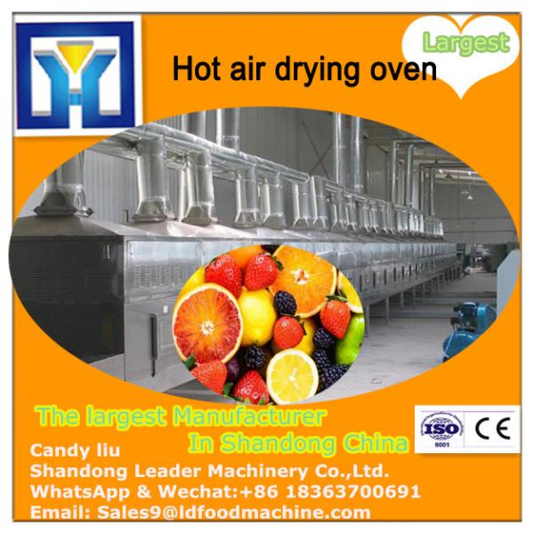Dryer fruit/industrial food dehydrator machine/vacuum fruit drying machine #2 image