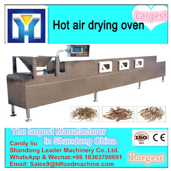 Hot Sales Stainless Steel High Temperature PLC Control Hot Air Drying Oven #3 image