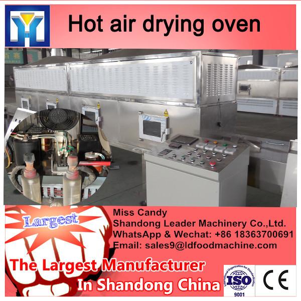 Factory wholesale DMH purifying sterilizing hot air drying oven #3 image