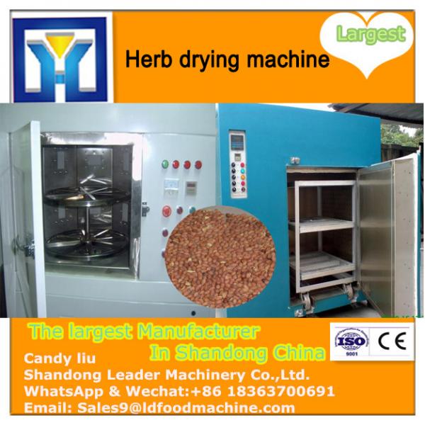 Good Efficiency Professional Designed Herb Heat Pump Dehydrator Machine #1 image