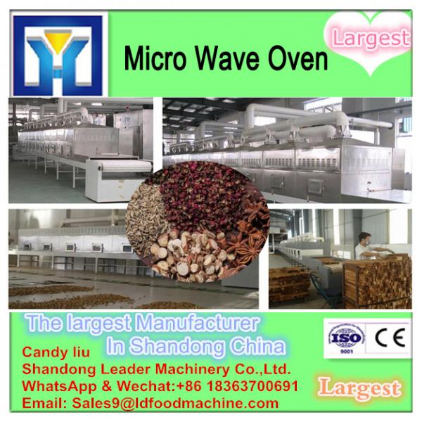 Microwave Yellow Mealworm Sterilizing Machine #3 image