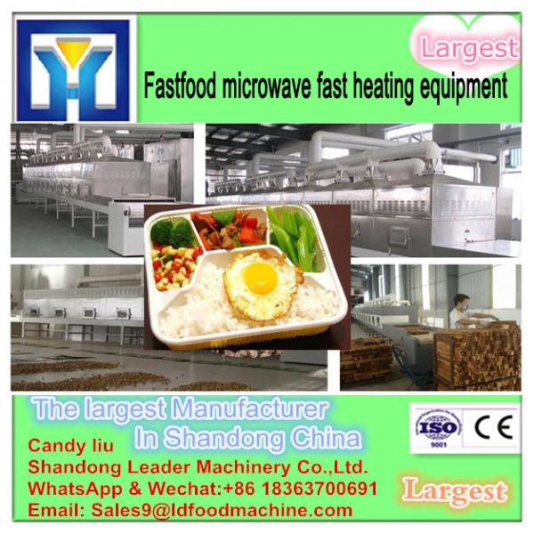 Continuous Microwave Food Dryer #1 image