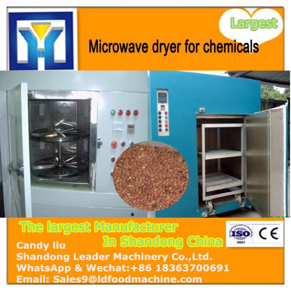 Food Industry High Efficiency Fig Microwave Sterilizing Drying Machine #1 image