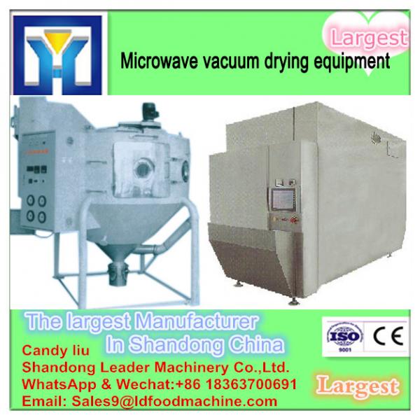 Conveyor Belt Multi Layer Hot Air Dryer #3 image
