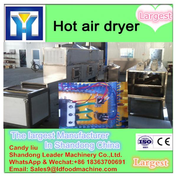 Mint leaf multiple layer stainless steel conveyor dryer #1 image
