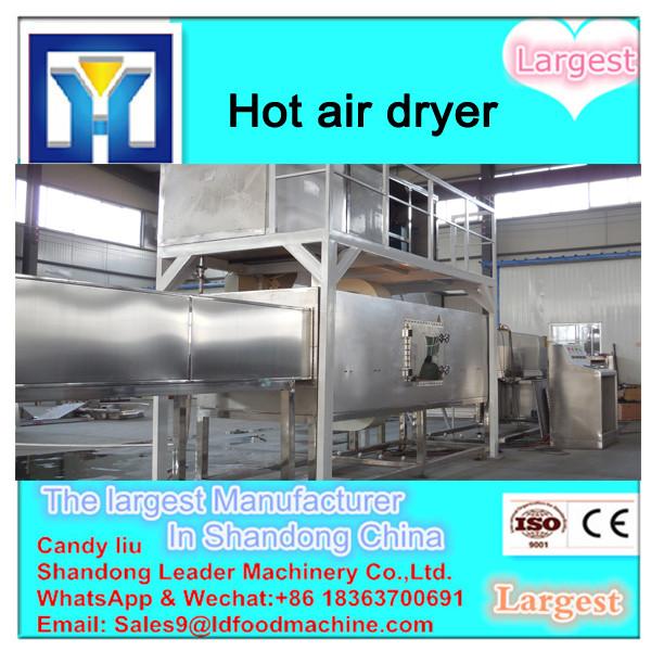 Hot air circulation fan fruit dryer #1 image