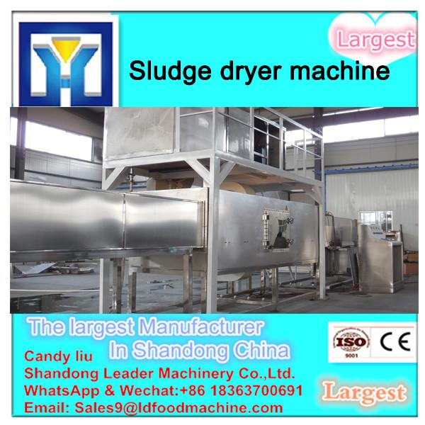 New Type Hollow Paddle Dryer for Industrial Sludge #1 image