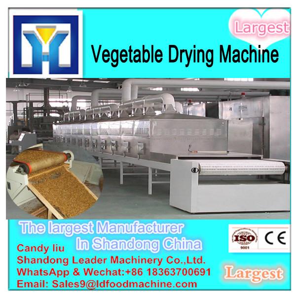 Hot air red date dryer oven, fruit drying equipment,vegetable fish seafood drying machine #1 image