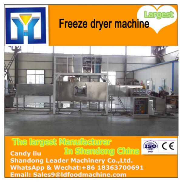 Bottom price fruit food vegetable vacuum freeze dryer machine/industrial dried fruit vacuum freeze dryer #1 image