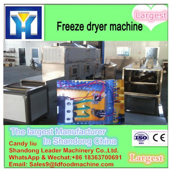 2016 Cheap price 10 M2 vacuum freeze drying machine #3 image