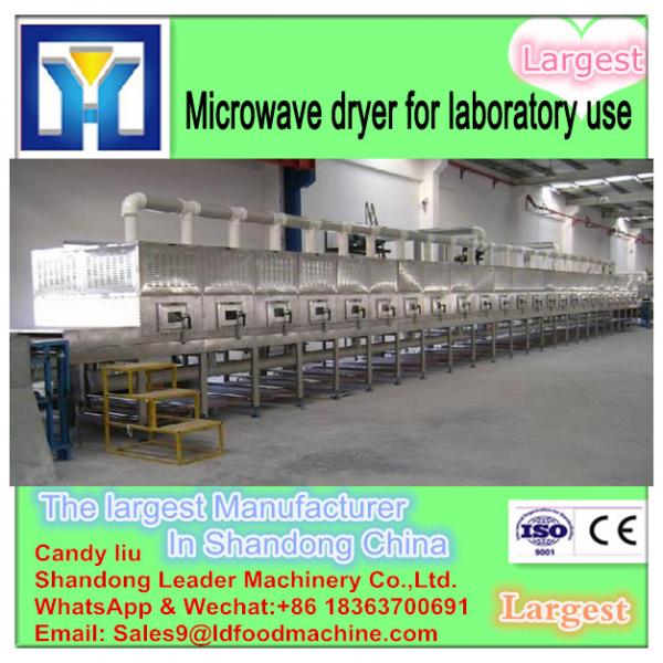 Hot sale batch type microwave laboratory dryer with CE #2 image