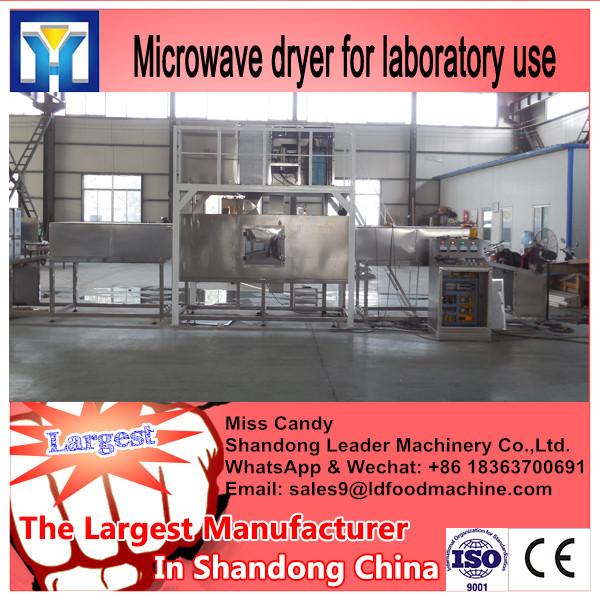 Hot sale batch type microwave laboratory dryer with CE #1 image