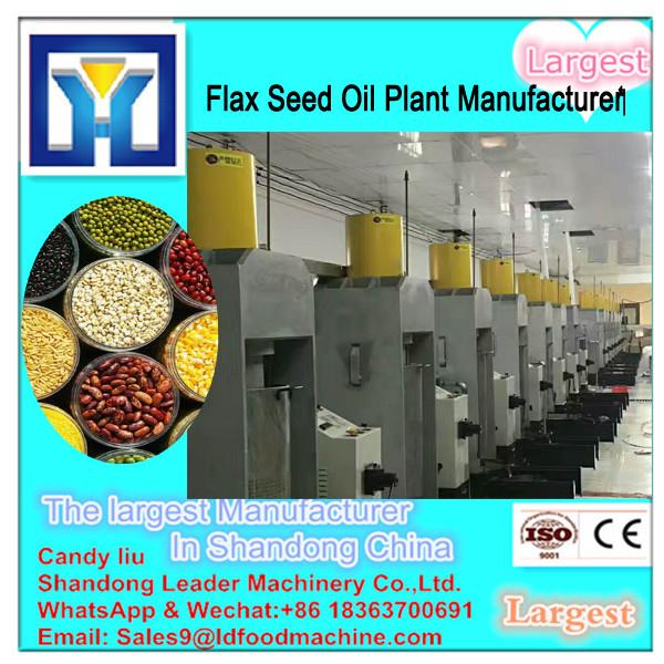 100TPD Dinter sunflower oil production factory #2 image