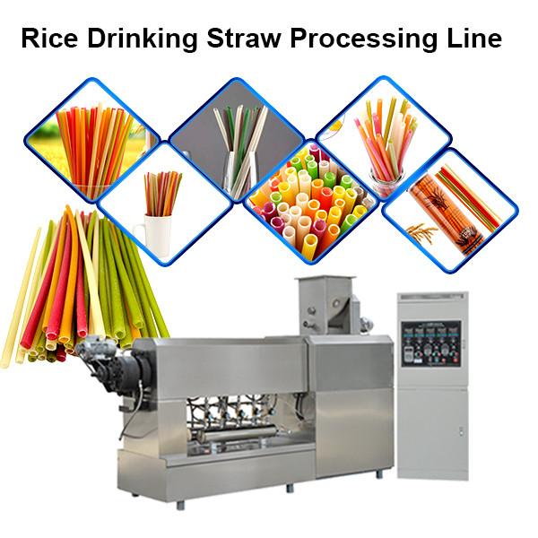 Biodegradable Online Cutting Drinking Straw Making Machine #1 image